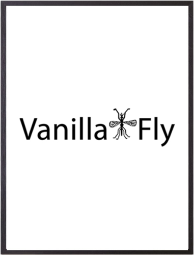 Focus Rock Black 20x25 Vanilla Fly