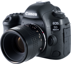 Lensbaby Velvet 28 for Nikon F