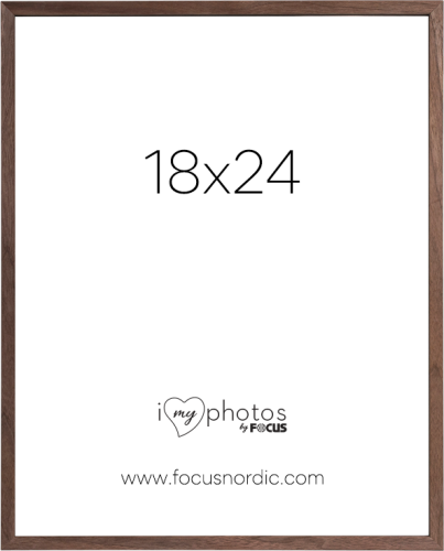 Focus Rock Walnut veneer 18X24