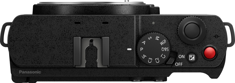 Panasonic Lumix S9 Body Smokey White