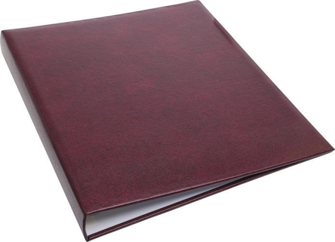 Focus Exclusive Line Ringbinder Red