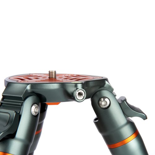 3 Legged Thing Legends Nicky állvány