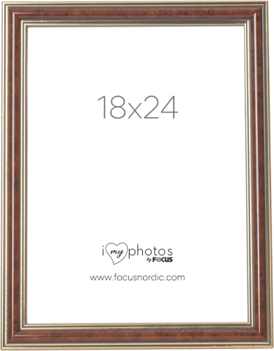 Focus Tango Light Root 18x24