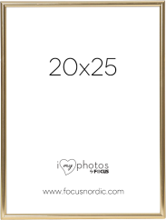 Focus Can-Can Shiny Gold 20x25