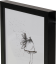 Focus Soul Black 20x25