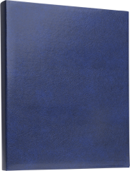Focus Exclusive Line Ringbinder Blue