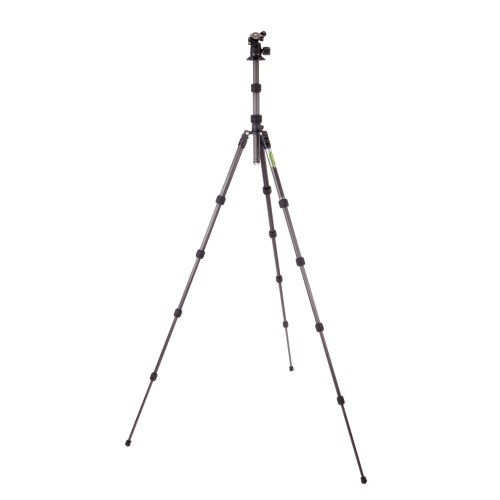 3 Legged Thing Punks Brian 2.0 DARKNESS állvány