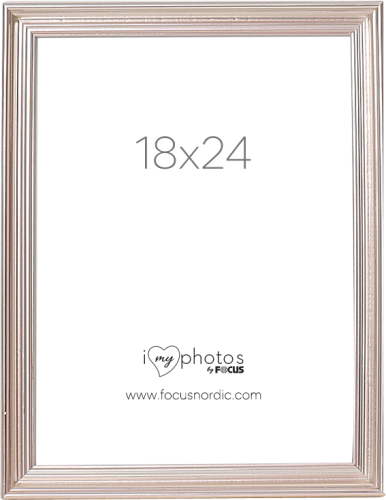 Focus Verona Silver 18x24