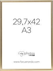 Focus Can-Can Shiny Gold 29,7x42 (A3)