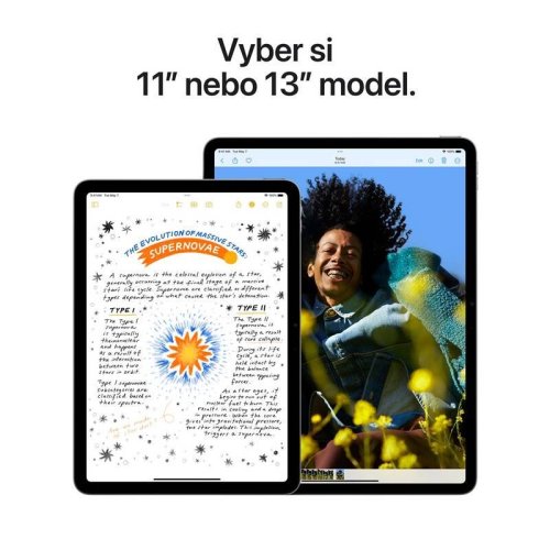 Apple iPad Air 11" Wi-Fi + Cellular 256GB Space Grau (2024)