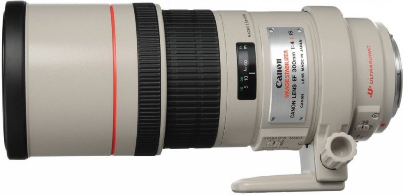 Canon EF 300/4L IS USM Objektiv