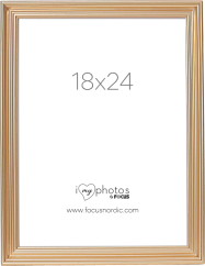 Focus Verona Gold 18x24