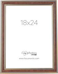 Focus Tango Light Root 18x24