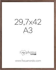 Focus Rock Walnut veneer 29,7X42 (A3)
