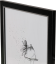 Focus Twist Black 20x30