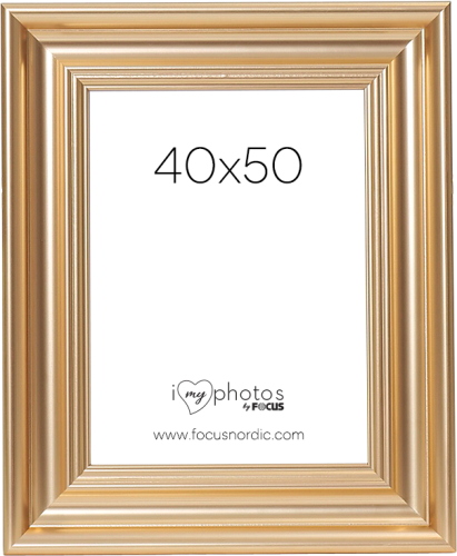 Focus Charleston Gold 40x50