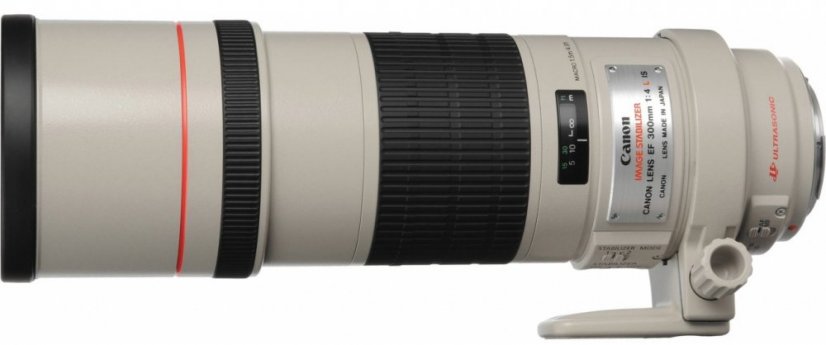 Canon EF 300mm f/4 L IS USM