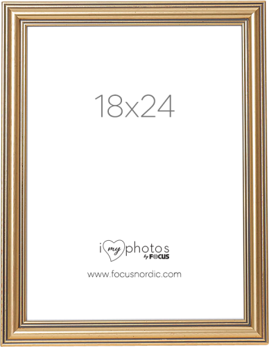 Focus Tango Classic Gold 18x24
