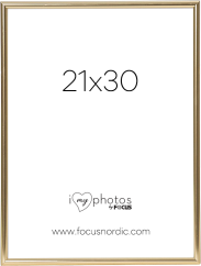 Focus Can-Can Shiny Gold 21x30