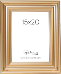 Focus Charleston Gold 15x20