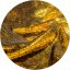 Walimex pro Paillettenhintergrund 260 x 240 cm (Gold)