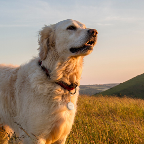 Lokalizační čip Hama, Bluetooth lokátor pro Android Find My Device, sada 2 kusů