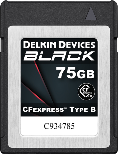 Delkin CFexpress BLACK R1725/W1240 75GB Type B