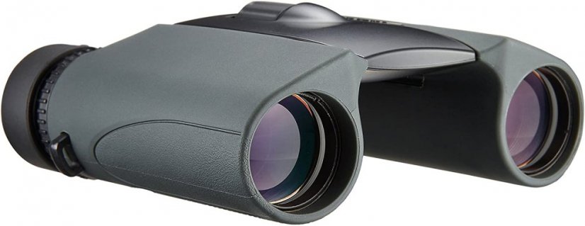 Nikon DCF Sportstar EX 10x25 Charcoal Grey