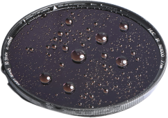 NiSi Filter IRND1000 Pro Nano Huc 62mm