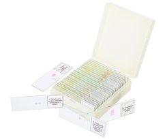 Príslušenstvo Discovery Prof Specimens DPS 25. „BIOLÓGIA, VTÁKY, ATD.“ – sada hotových preparátov