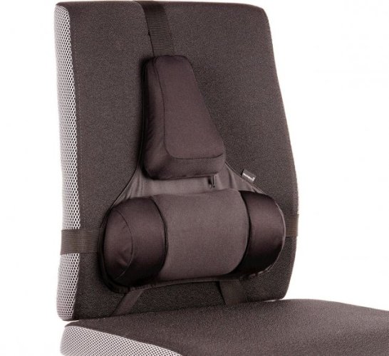 Profesionální opěrka zad Fellowes, černá