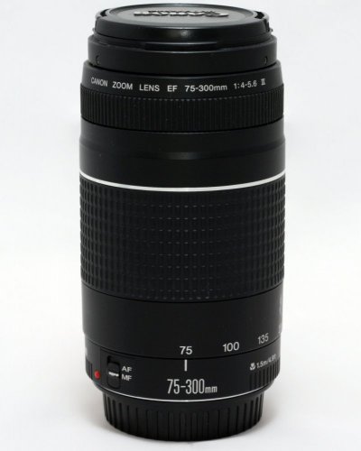 Canon EF 75-300mm f/4-5,6 III
