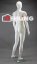 Figurína pánska, biela matná, výška 187cm