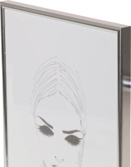 Focus Can-Can Shiny Silver 50x60