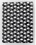 SWAN 13x16,5 cm, foto 10x15 cm/40 ks, 40 stran, černé