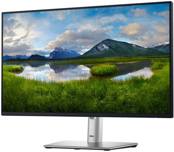 Dell P2425H Professional 24" IPS, 1920x1080, 1500:1, 8 ms, 3x USB/ DP/ HDMI/ VGA/ USB-C, 3 roky NBD