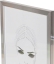 Focus Pop Silver 20x25