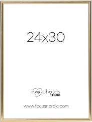 Focus Can-Can Shiny Gold 24x30