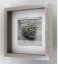 SCALA, fotografie 15x15 cm, rám 23x23 cm, šedý