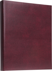 Focus Exclusive Line Ringbinder Red