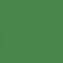 Walimex pro Paper Background 1.35x10m Chroma Key Green