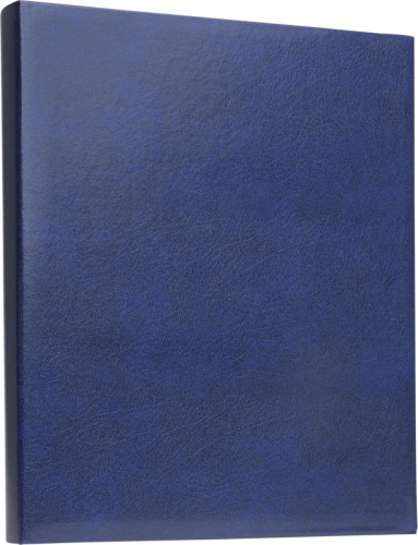 Focus Exclusive Line Ringbinder Blue