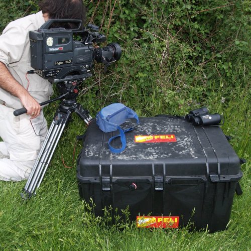 Peli™ Case 1660 Koffer mit Schaumstoff (Schwarz)