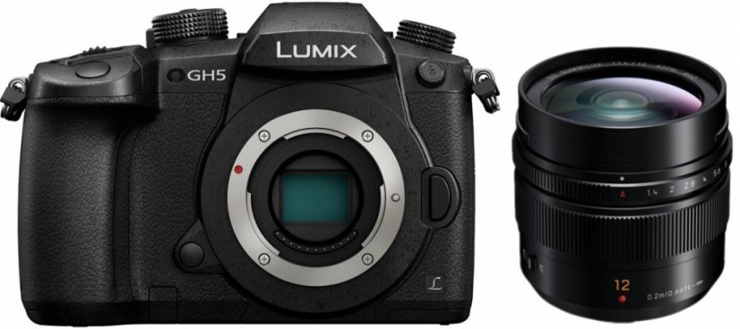 Panasonic Lumix DC-GH5 + Leica DG 12mm f/1.4 ASPH