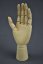 Dřevěný model ruky menší (DRR)