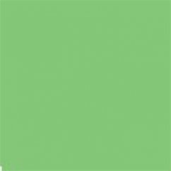 Falcon Eyes Paper Background 2.75 m x 11 m - Summer Green (73)