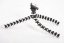 forDSLR Gorilla tripod s hlavou, nosnost 1200g