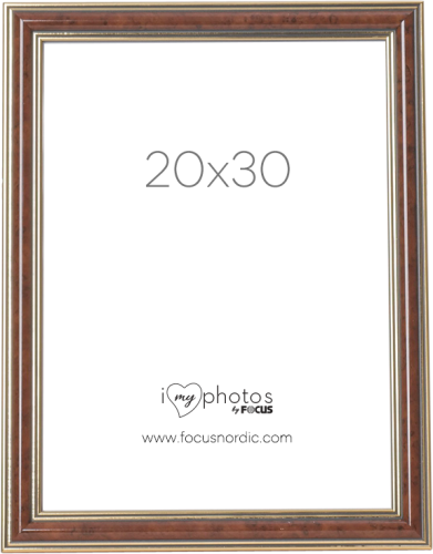 Focus Tango Light Root 20x30