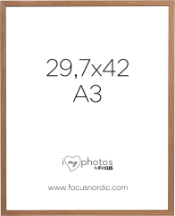 Focus Soul Oak veneer 29,7X42 (A3)
