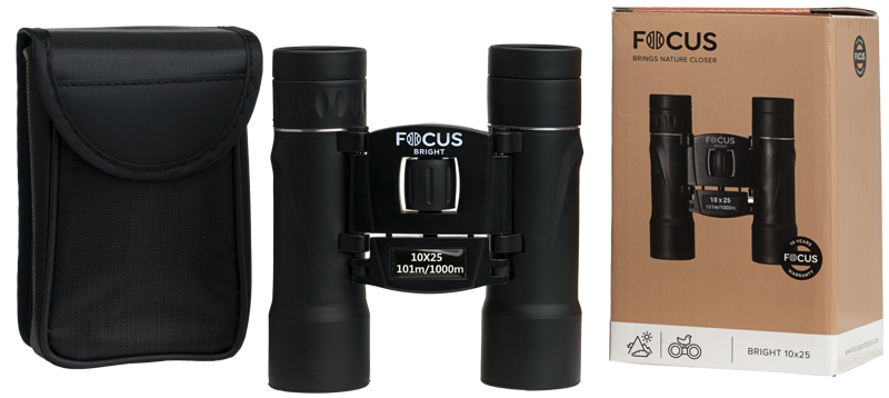 Focus Bright 10x25
